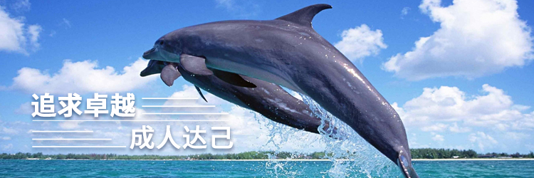 快/超强执行       实/结果导向     简/高效专注-手机